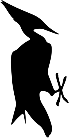 Bird Shape Sketch Drawing Svg Vector, Free Vectors File